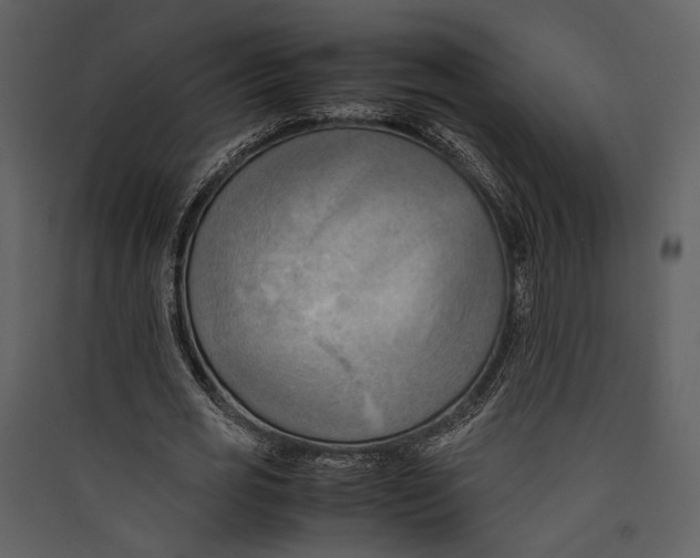 X0000089370725200707131636