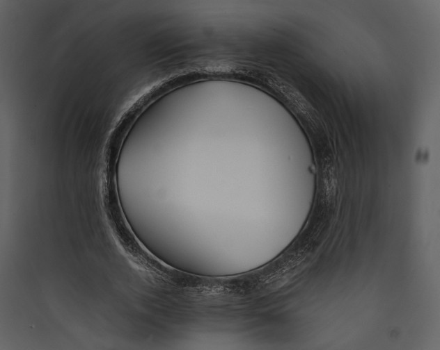 X0000089370728200707131636