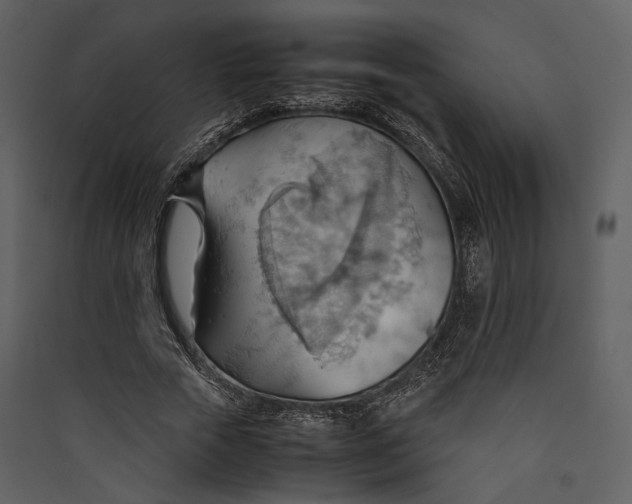 X0000089370729200707131636