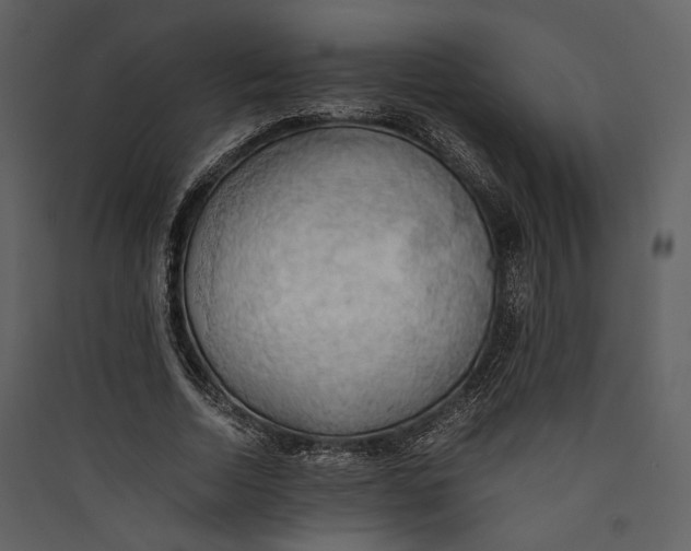 X0000089370730200707131636