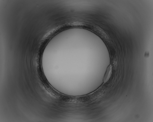 X0000089370732200707131636