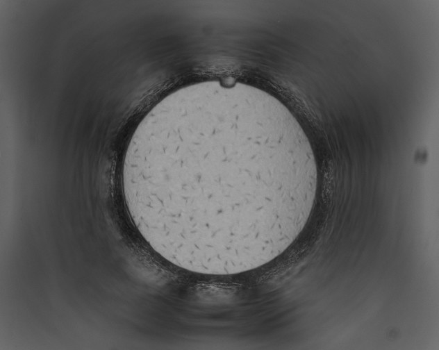 X0000089370739200707131636