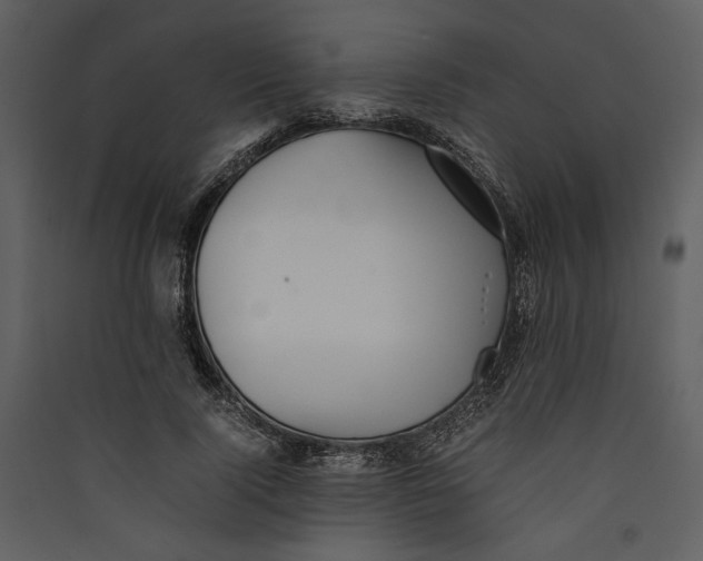 X0000089370740200707131636