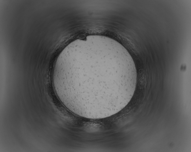 X0000089370743200707131636
