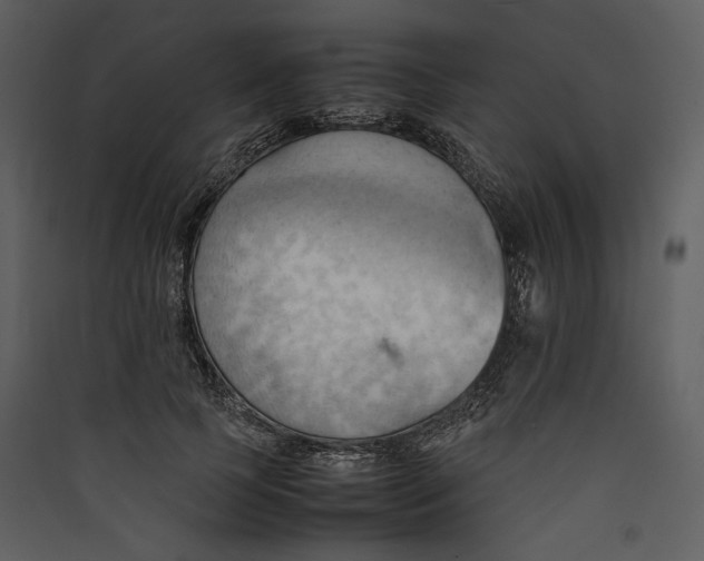 X0000089370745200707131636