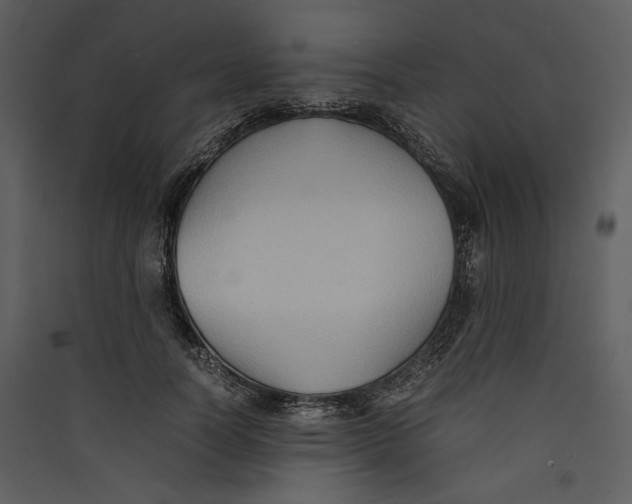 X0000089370746200707131636