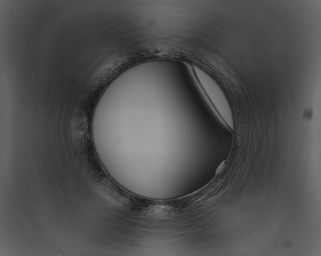 X0000089370748200707131636