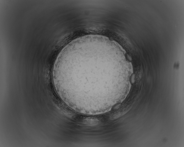 X0000089370749200707131636