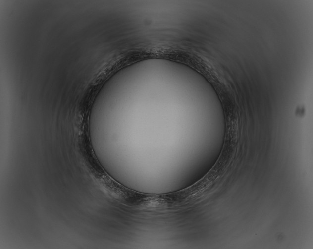 X0000089370750200707131636