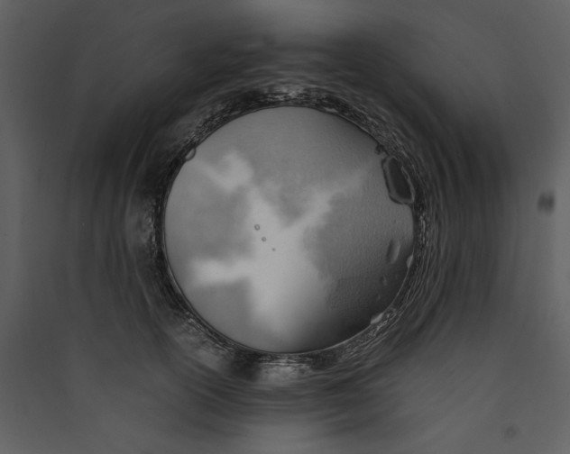 X0000089370754200707131636