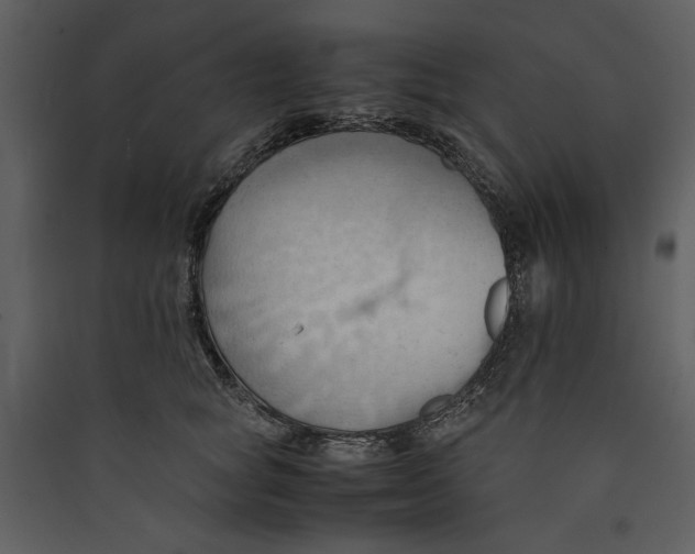 X0000089370757200707131636