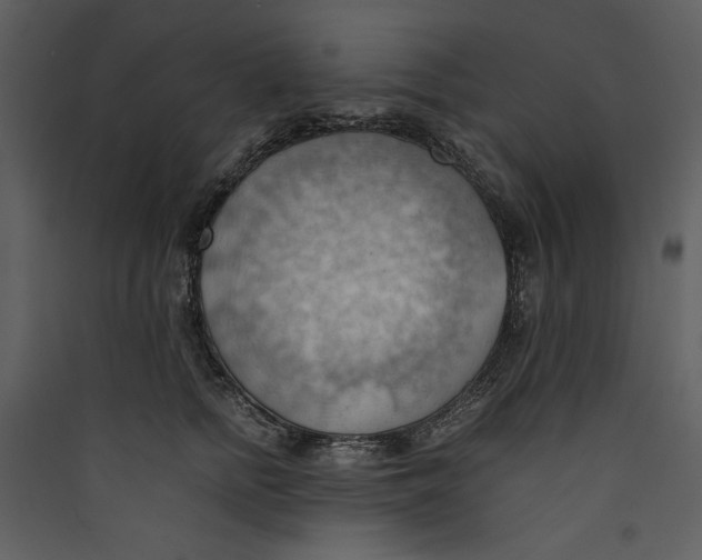 X0000089370758200707131636