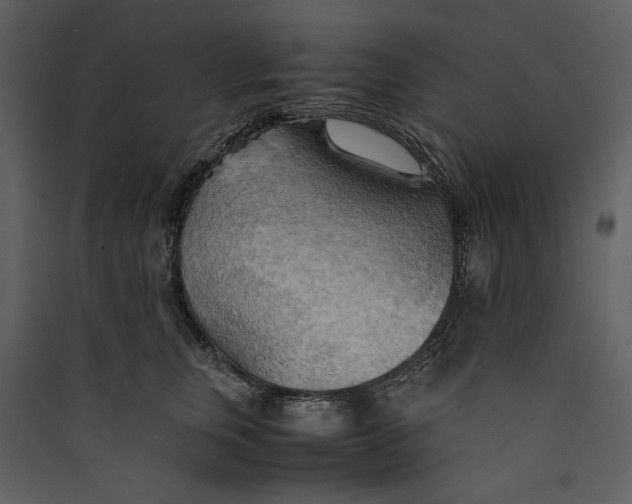 X0000089370759200707131636