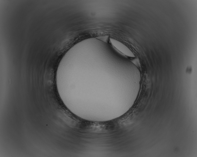 X0000089370760200707131636