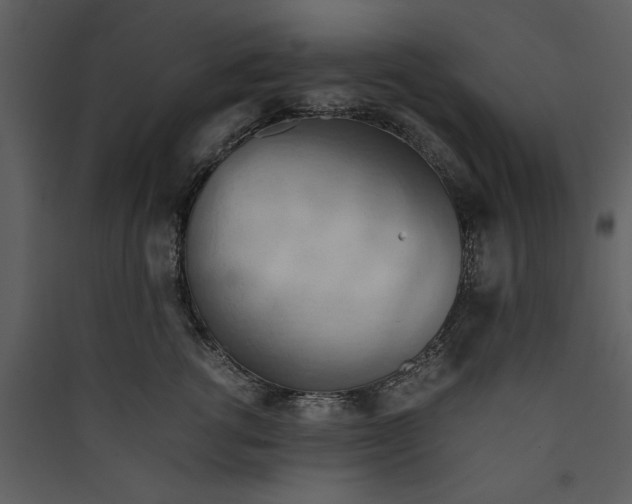 X0000089370762200707131636