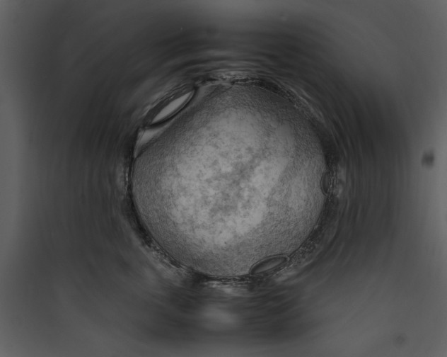 X0000089370763200707131636