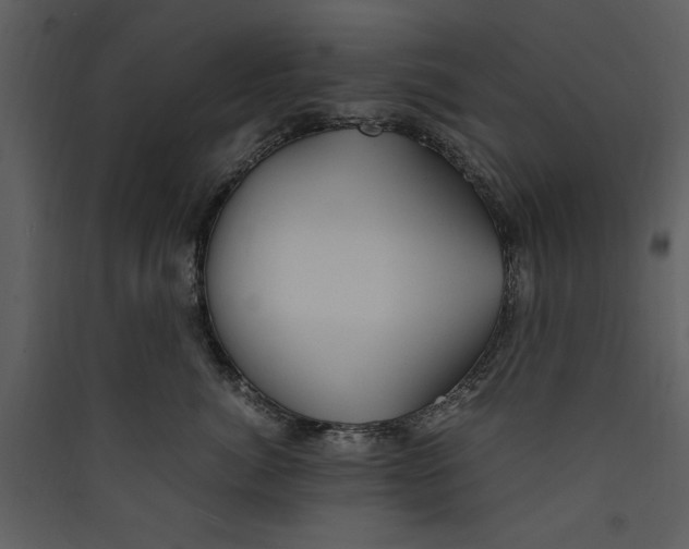 X0000089370764200707131637