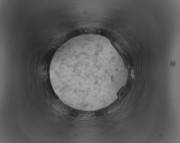 X0000089370771200707131636