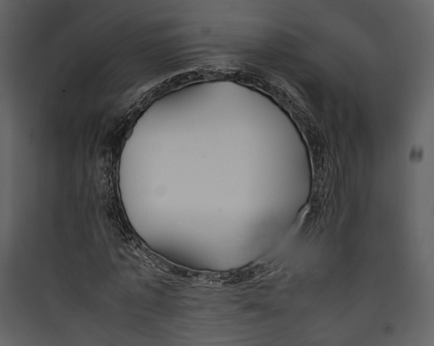 X0000089370773200707131636