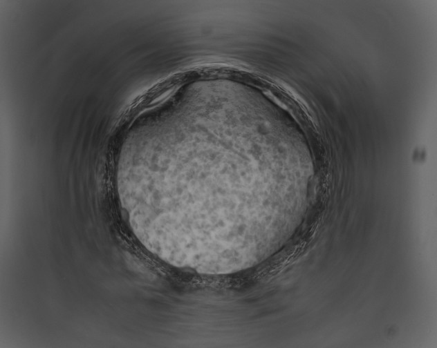 X0000089370775200707131636