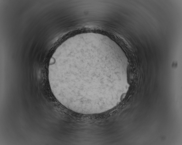 X0000089370776200707131636