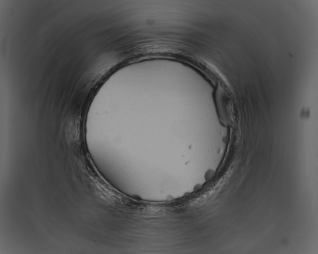 X0000089370777200707131636