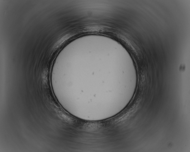 X0000089370778200707131636