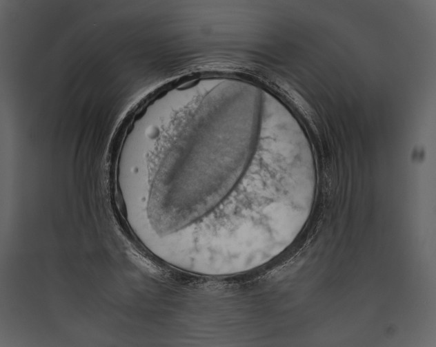 X0000089370779200707131636