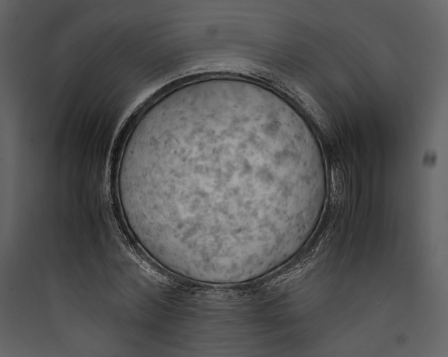 X0000089370780200707131636