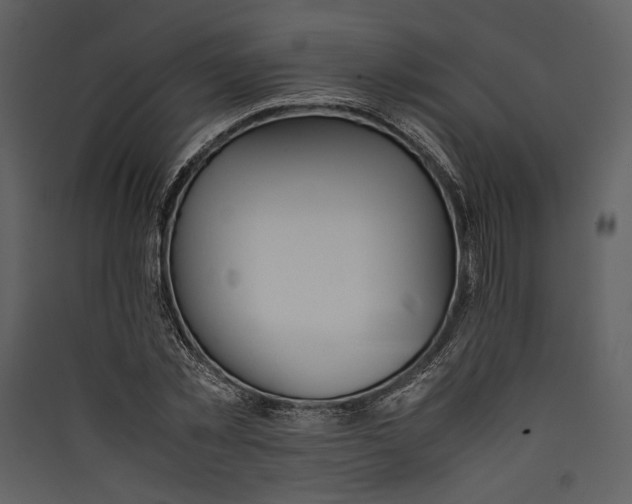 X0000089370781200707131636