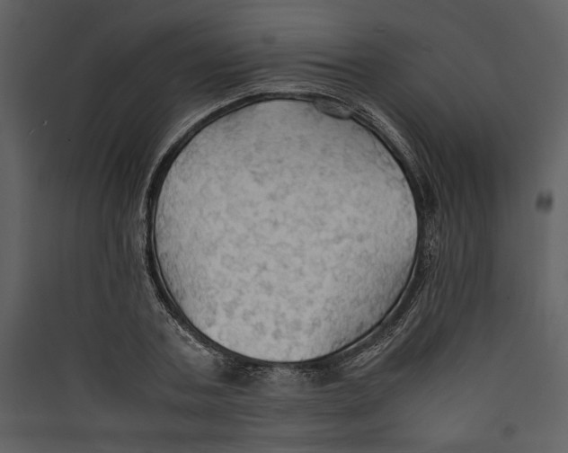 X0000089370787200707131636