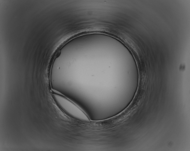 X0000089370789200707131636