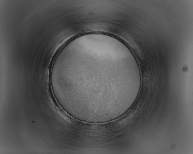 X0000089370790200707131636