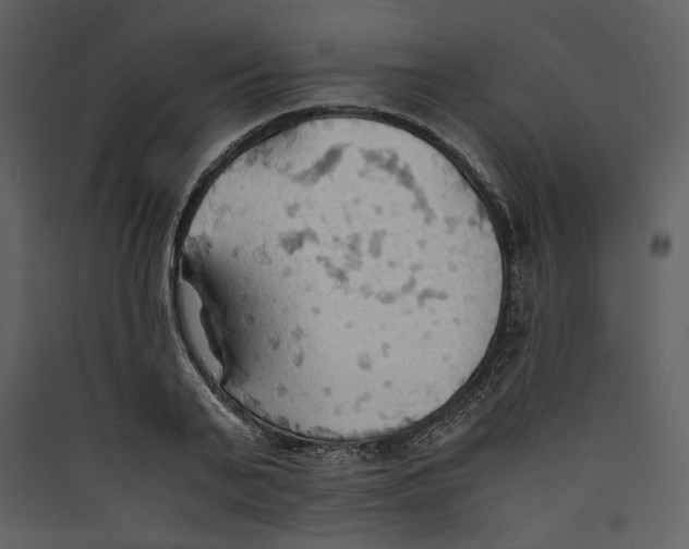 X0000089370791200707131636