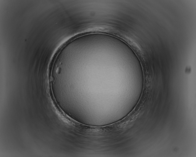 X0000089370792200707131636