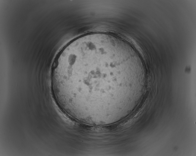 X0000089370795200707131636