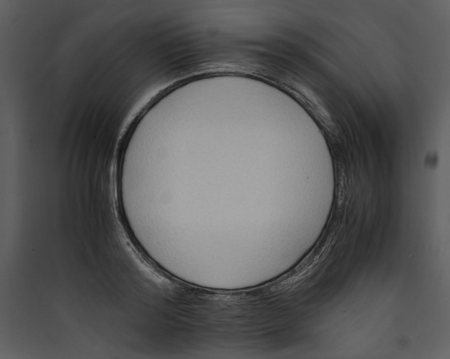 X0000089370796200707131636