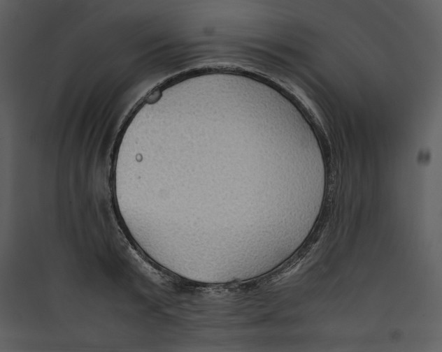 X0000089370799200707131636