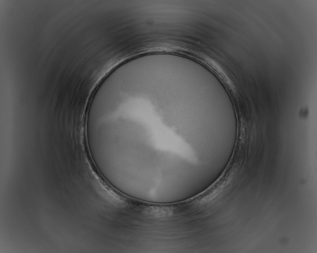 X0000089370802200707131636