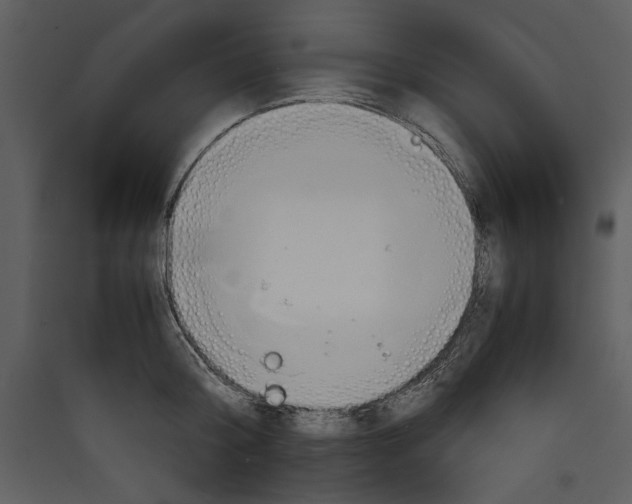 X0000089370804200707131636