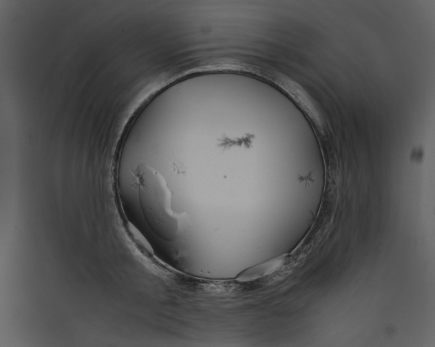 X0000089370805200707131636