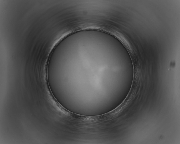 X0000089370806200707131635