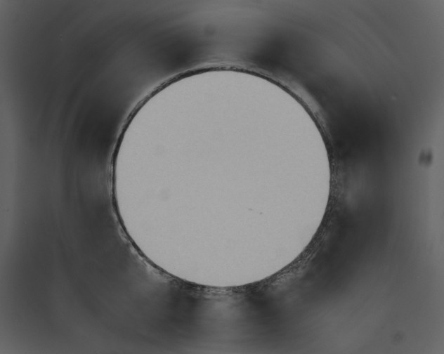 X0000089370807200707131635