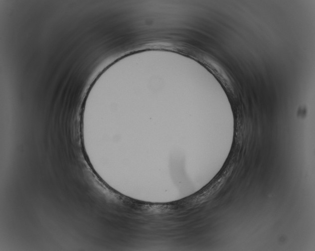 X0000089370808200707131635