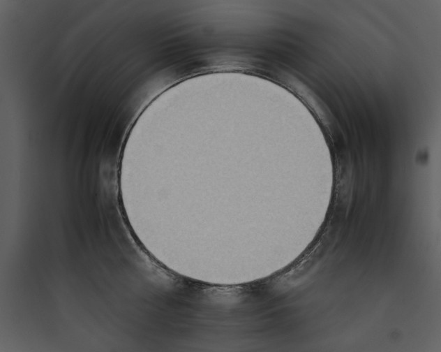 X0000089370810200707131635