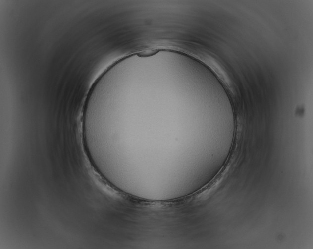 X0000089370814200707131635