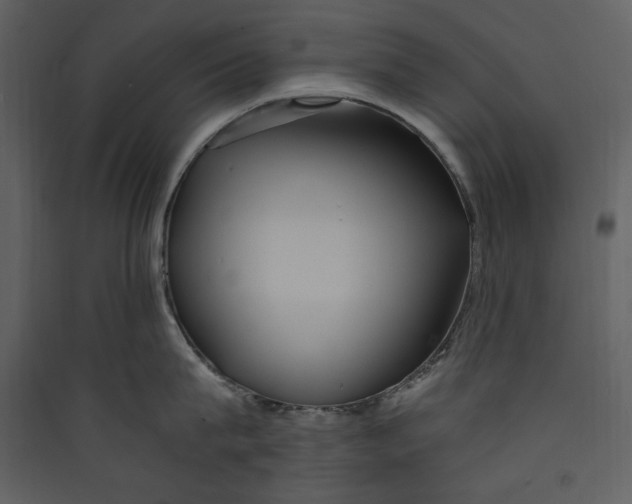 X0000089370815200707131635