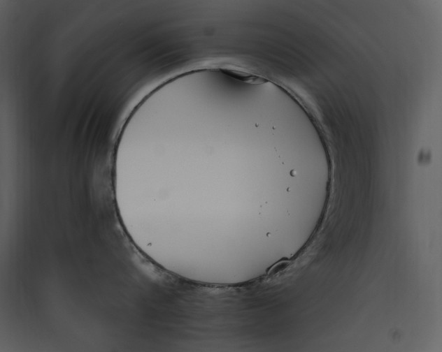 X0000089370816200707131635