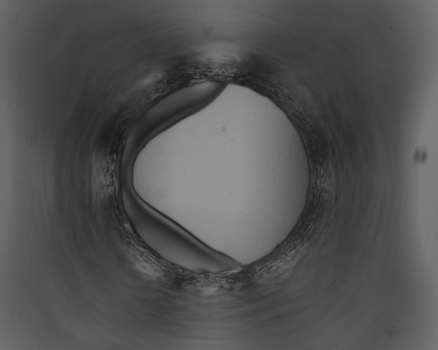 X0000089370818200707131635