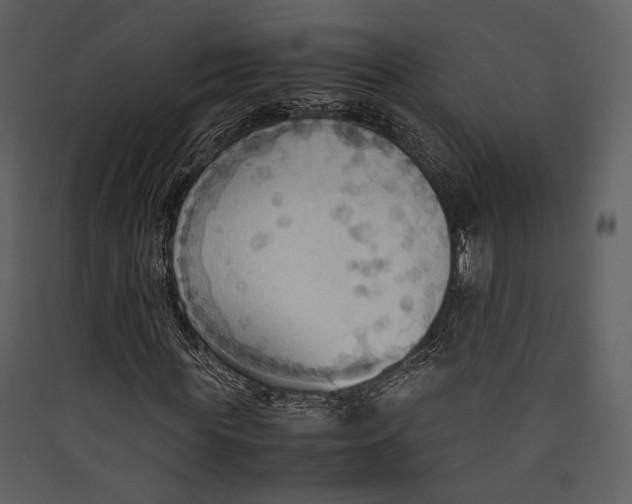 X0000089370819200707131635